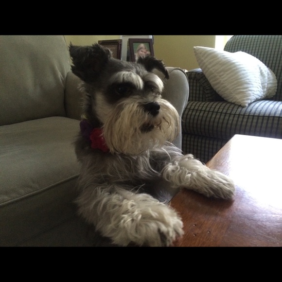 Meet your Posher, Diane - Picture 1 of 1